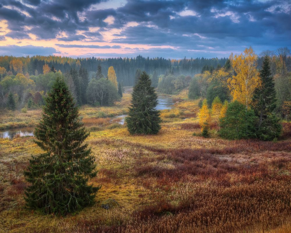 Утро осени...