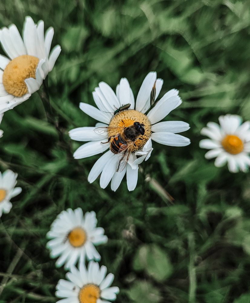 Фотография автора Анна карманович