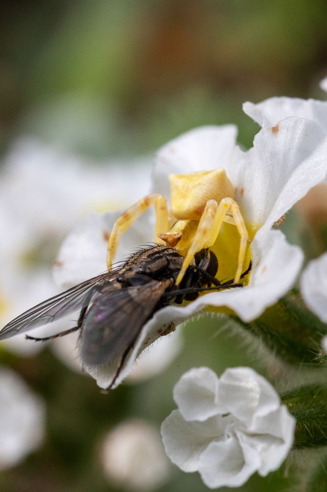 Photograph by Panagiotis Ioannou