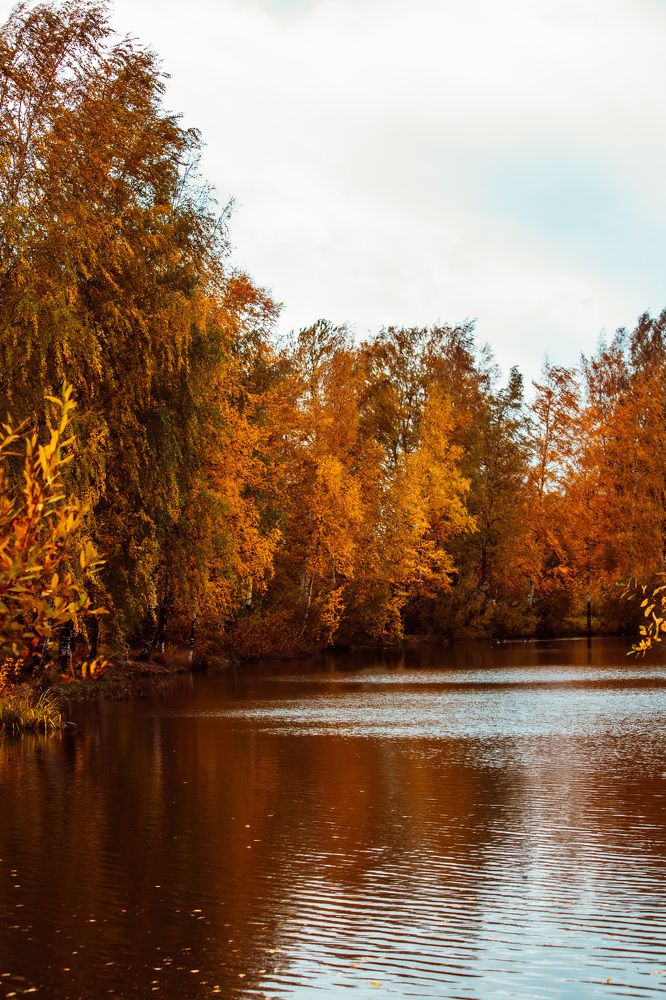 Photograph by Ольга Левакова