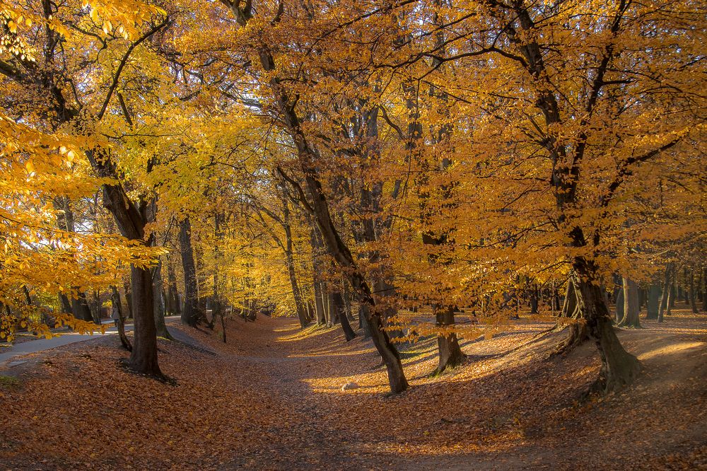 Photograph by Наталья Брюхненко