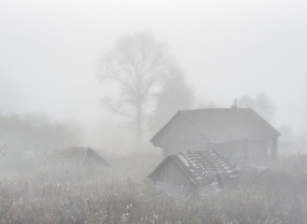 Фотография автора T Dean