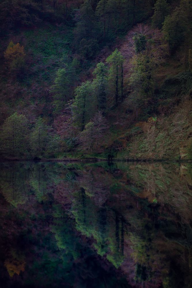 Photograph by Дарья Вега