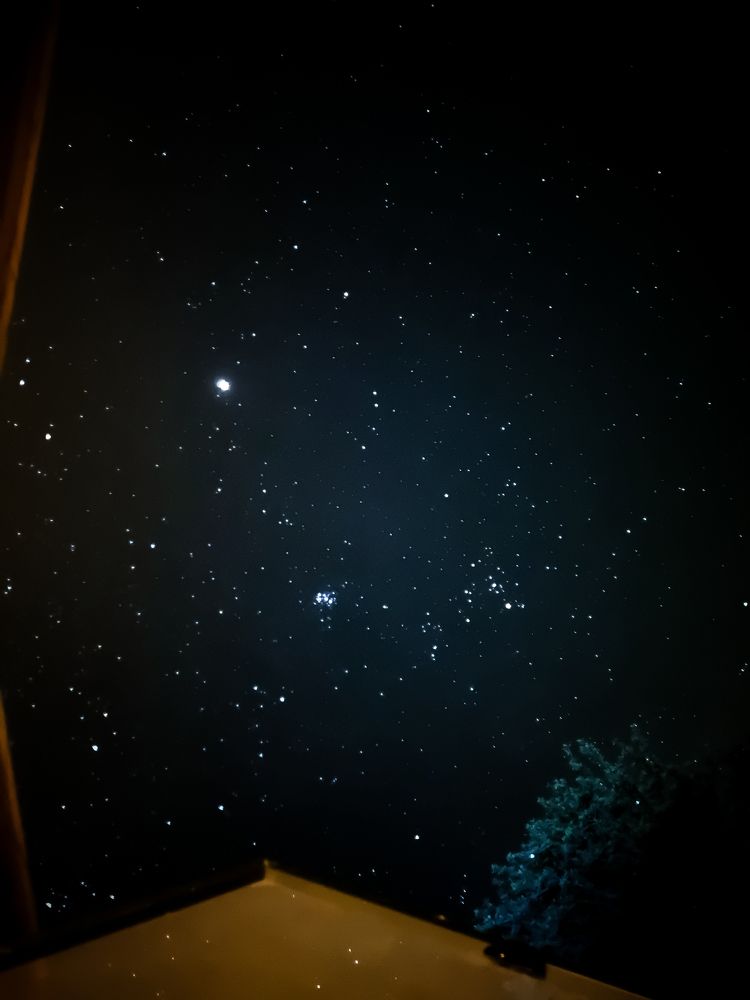 Photograph by Дарья Вега