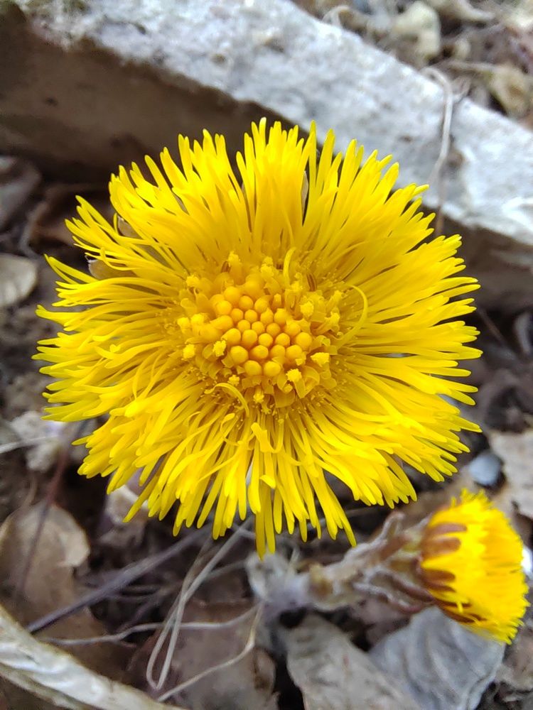 Photograph by Наталья