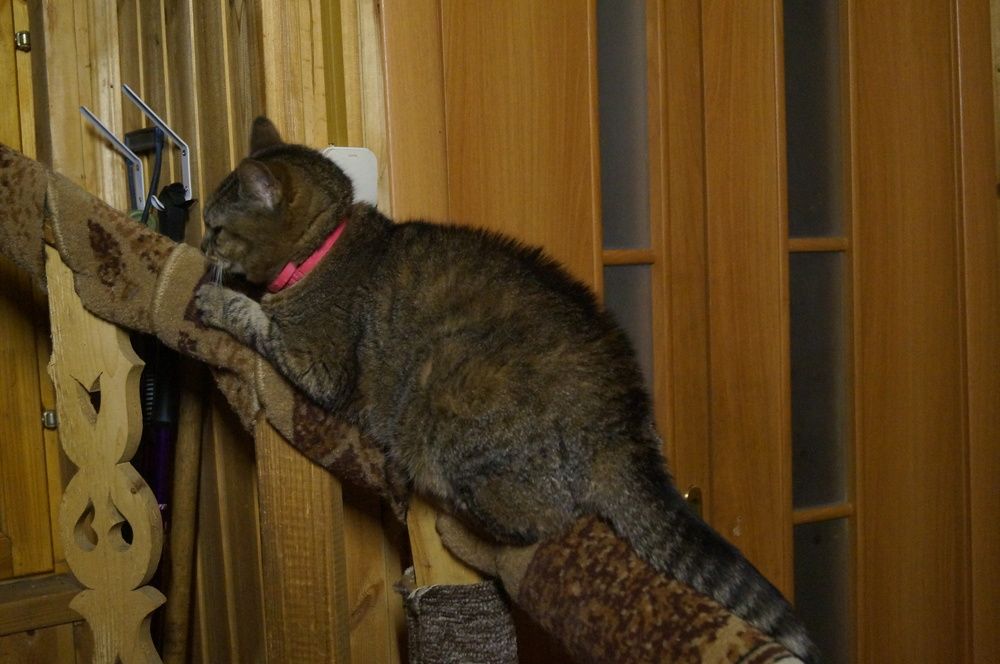 Photograph by Георгий Галкин