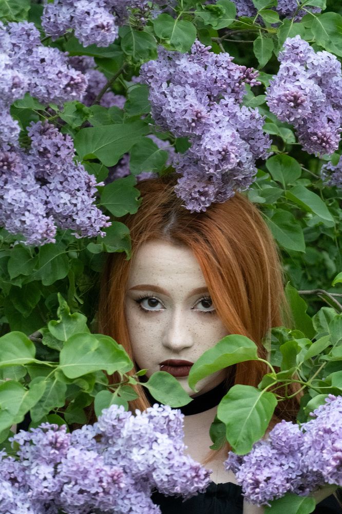 Фотография автора Alex Levinsky