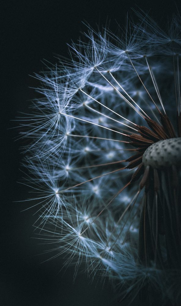 Фотография автора Юрий Серов