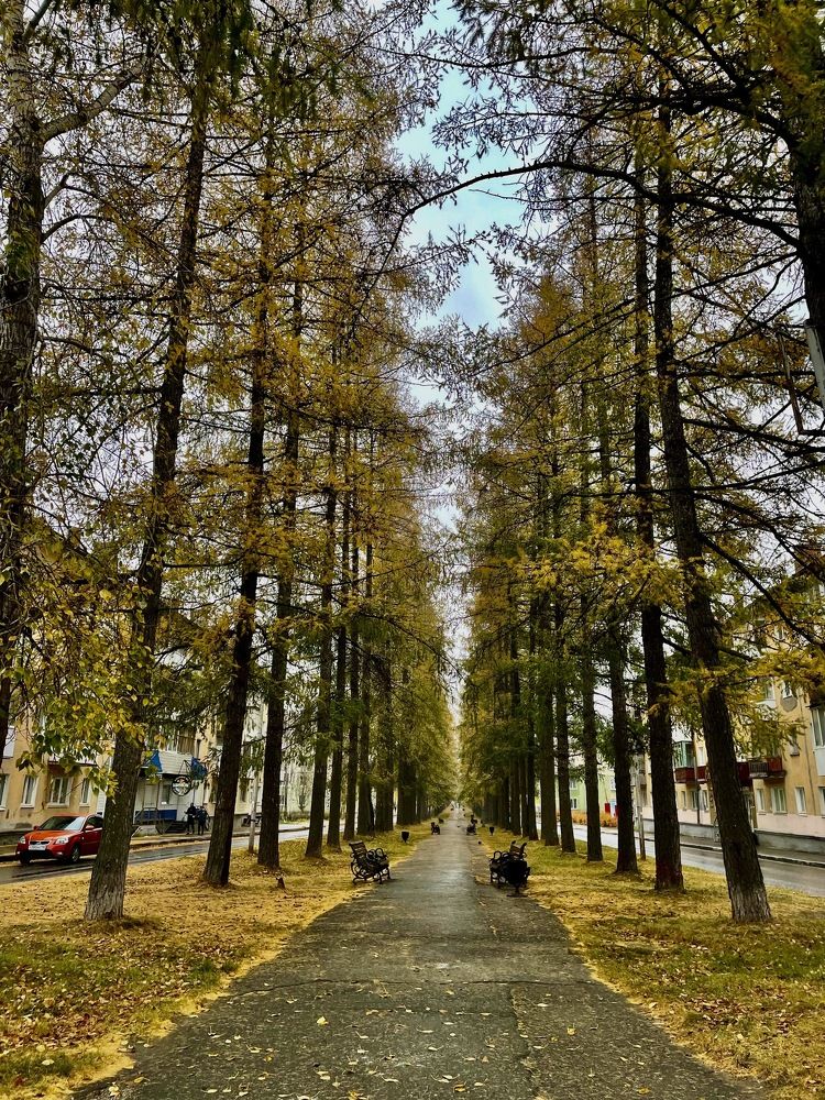 Photograph by Светлана Хохлова