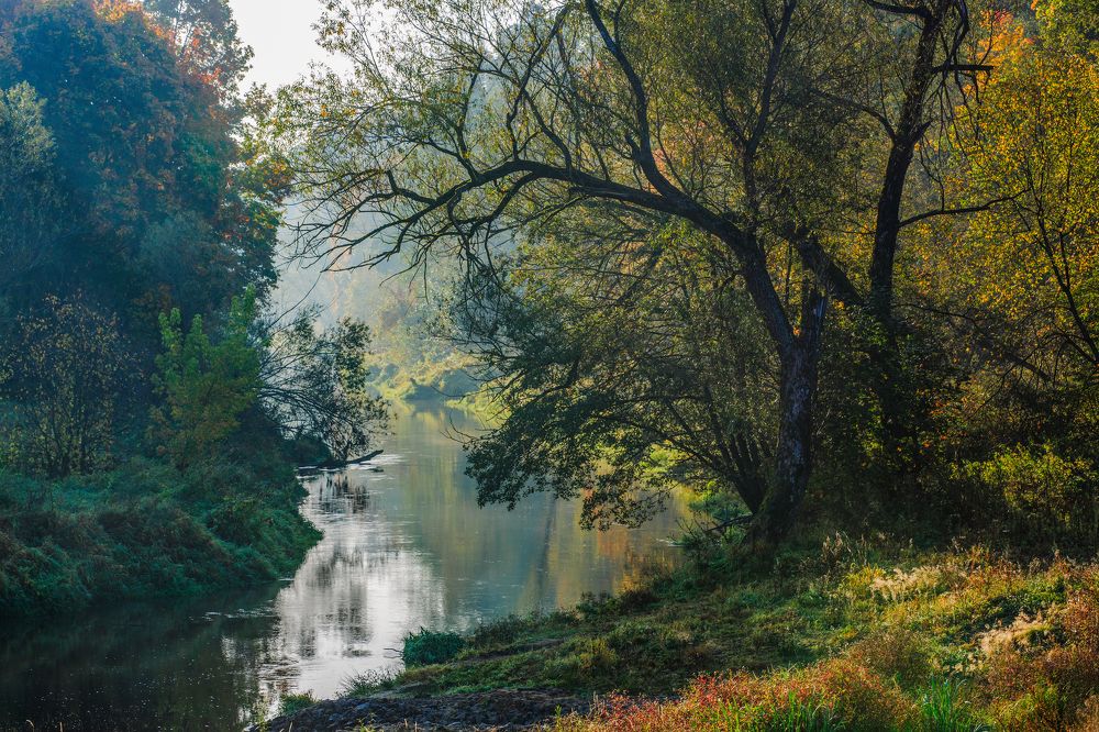 Photograph by Александр Литвинов