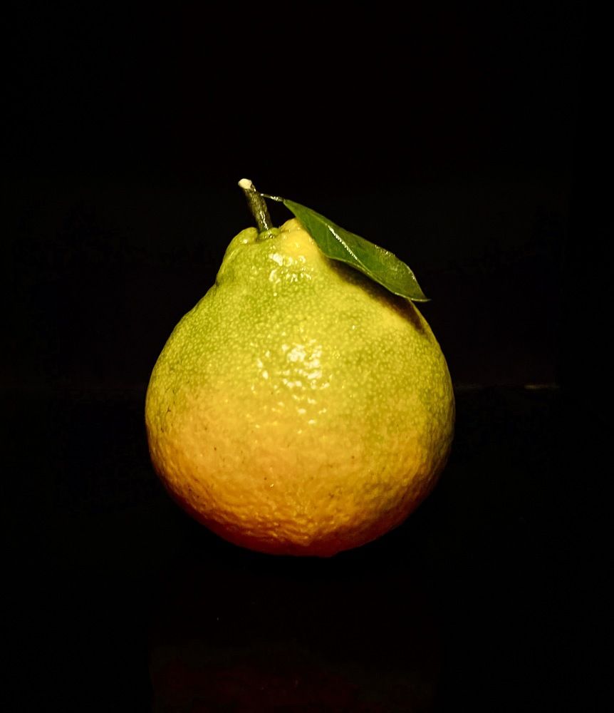 Photograph by Светлана Хохлова