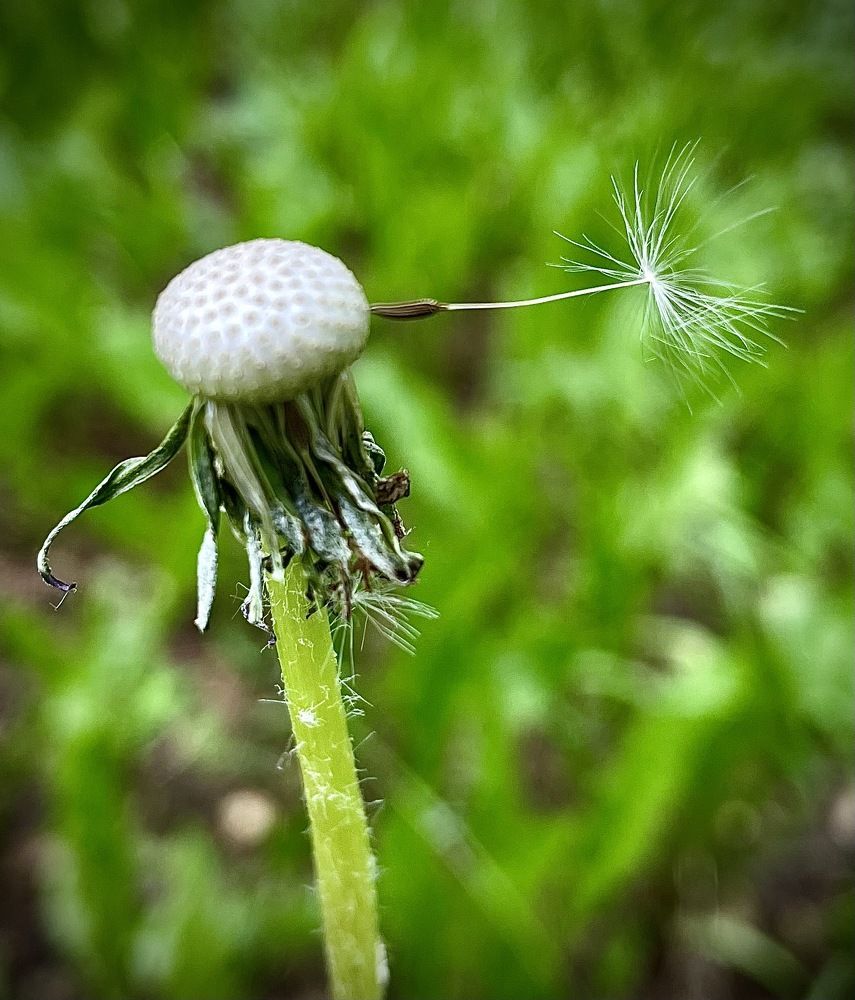 Photograph by Светлана Хохлова