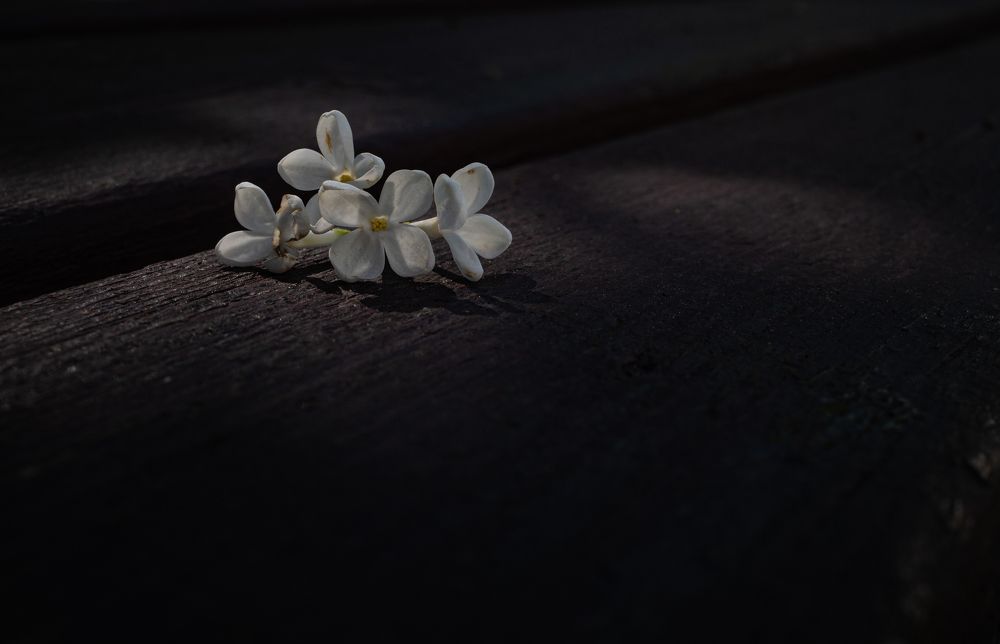 Фотография автора Tатьяна Дин