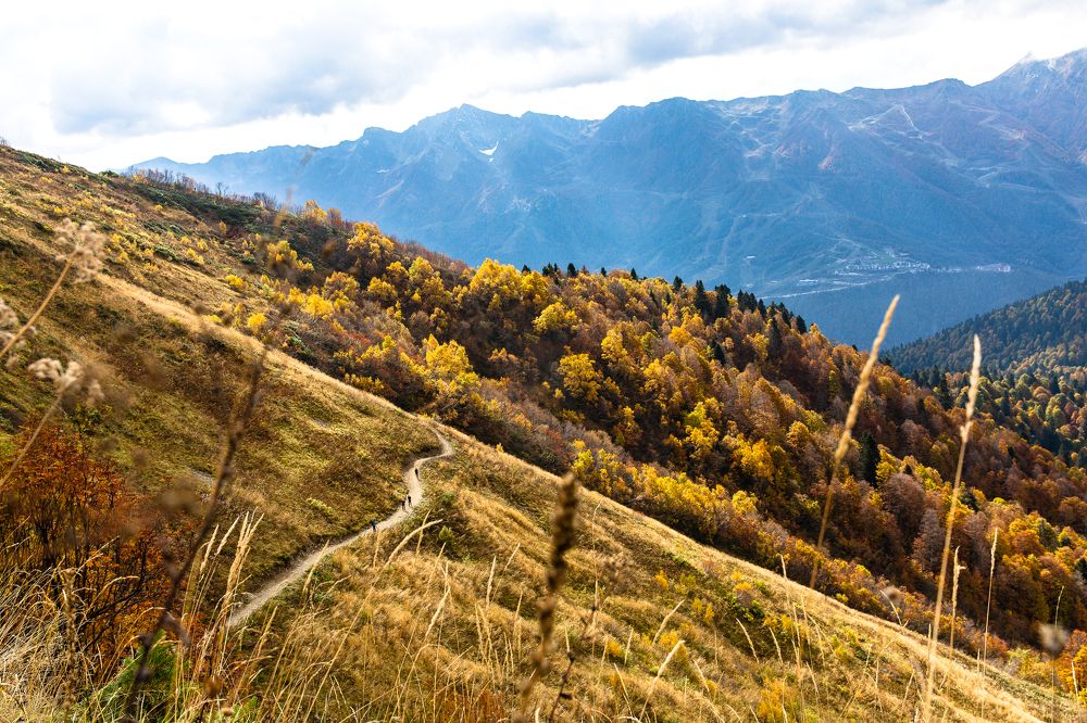 Photograph by Татьяна Зубанова