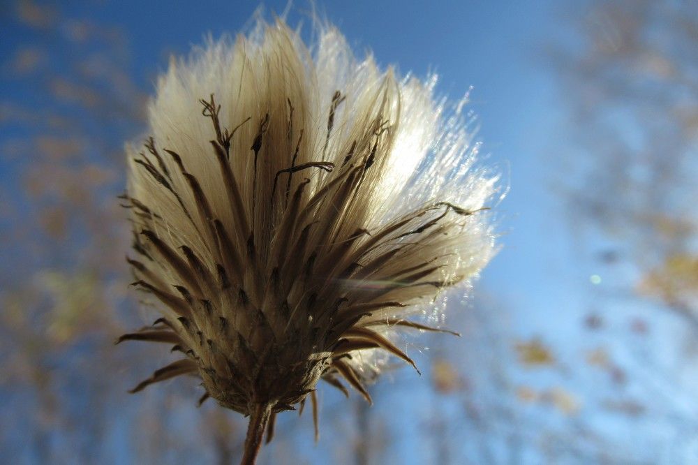 Photograph by Ольга Березовская