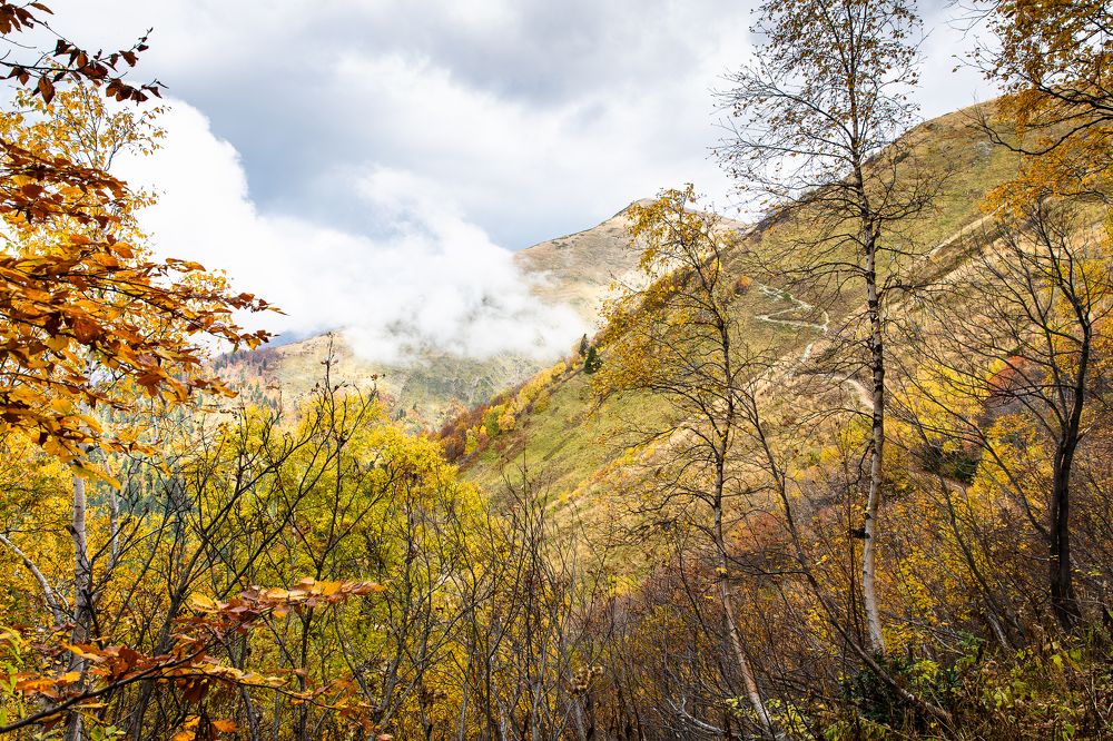 Photograph by Татьяна Зубанова