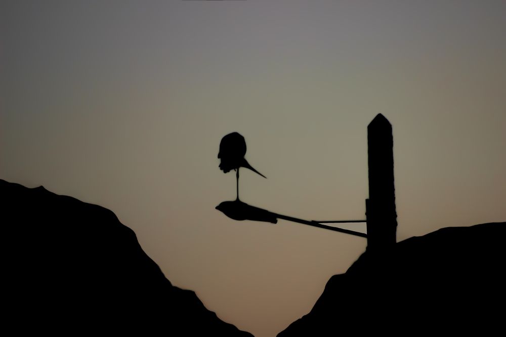 Photograph by seyedmohamad tabrizi