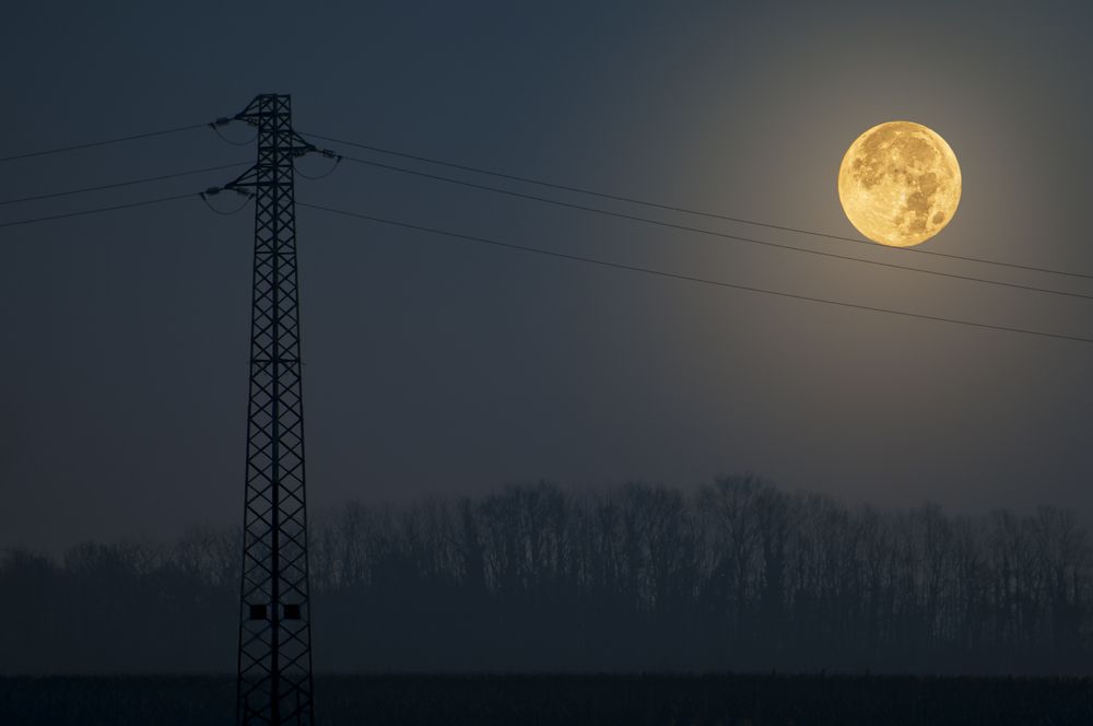 Photograph by Luca Menotti