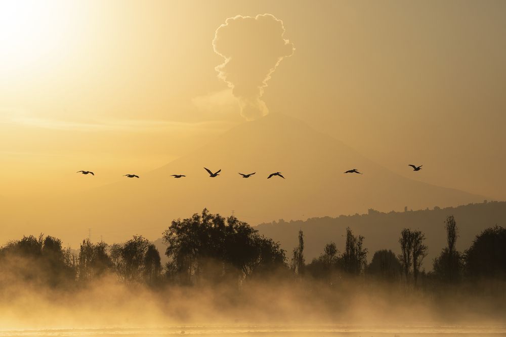 Фотография автора Tamara Maria Blazquez Haik