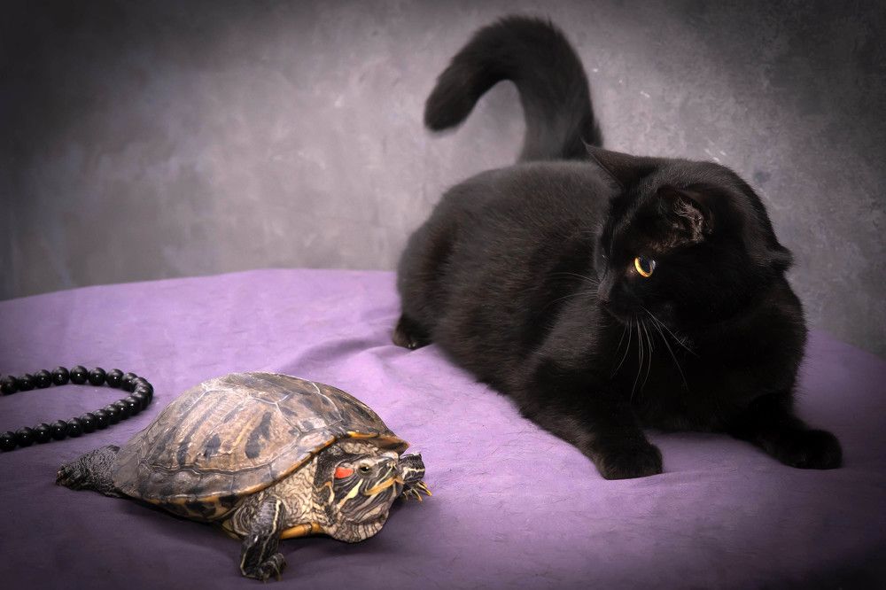 Photograph by Марина Вильдяева