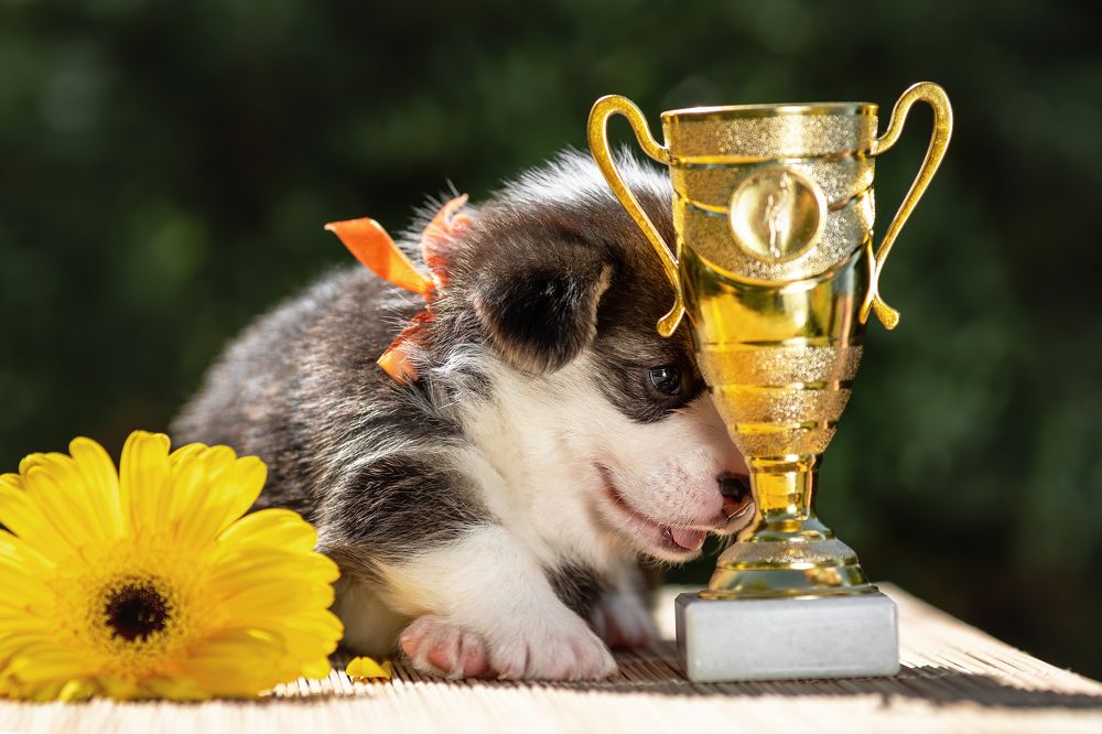 Photograph by Ирина Недикова