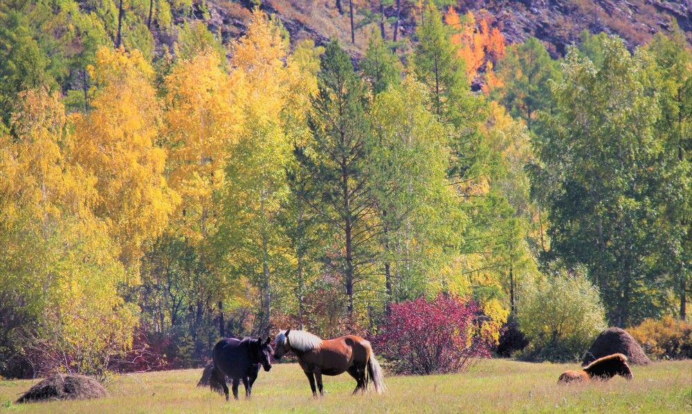 Photograph by Виктор Толстоухов