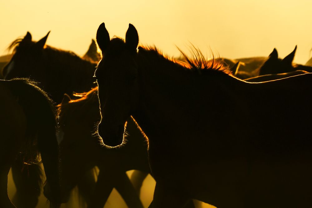 Photograph by Nuket Uluc