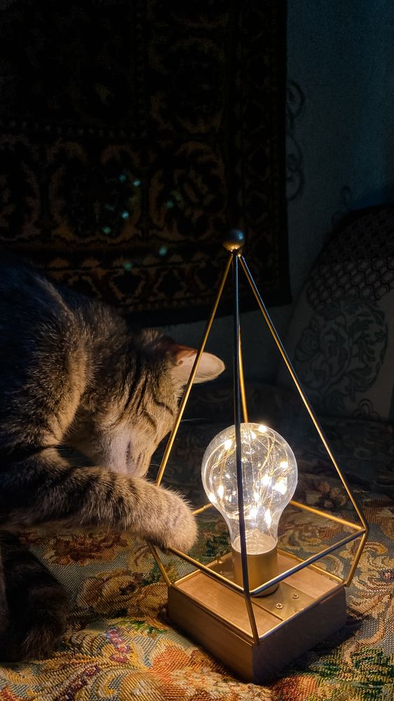 Photograph by Анна Леонова