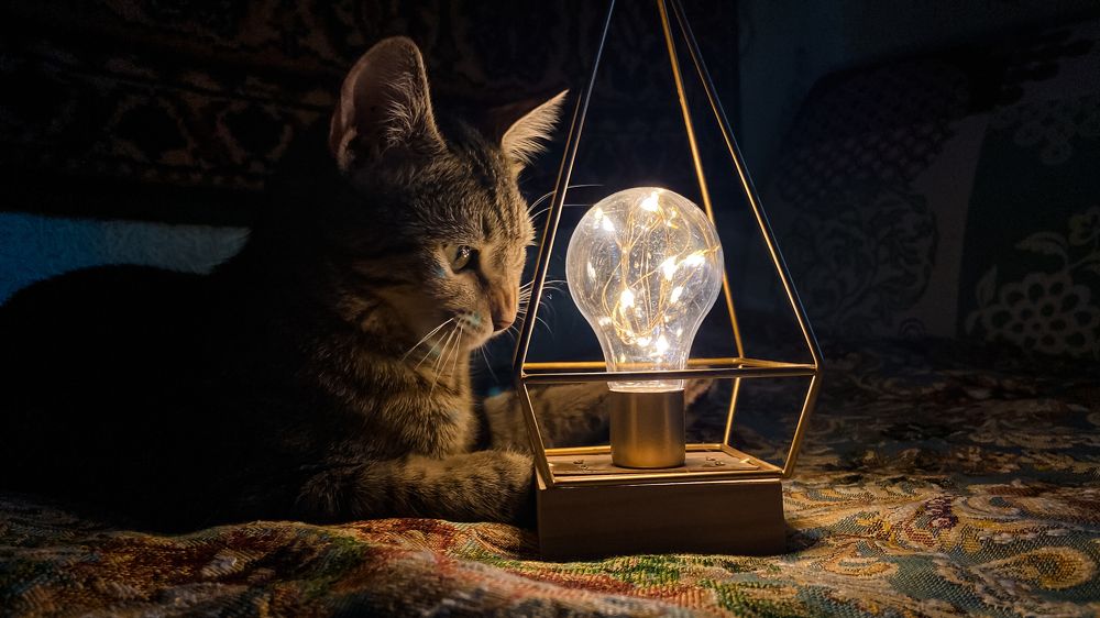 Photograph by Анна Леонова