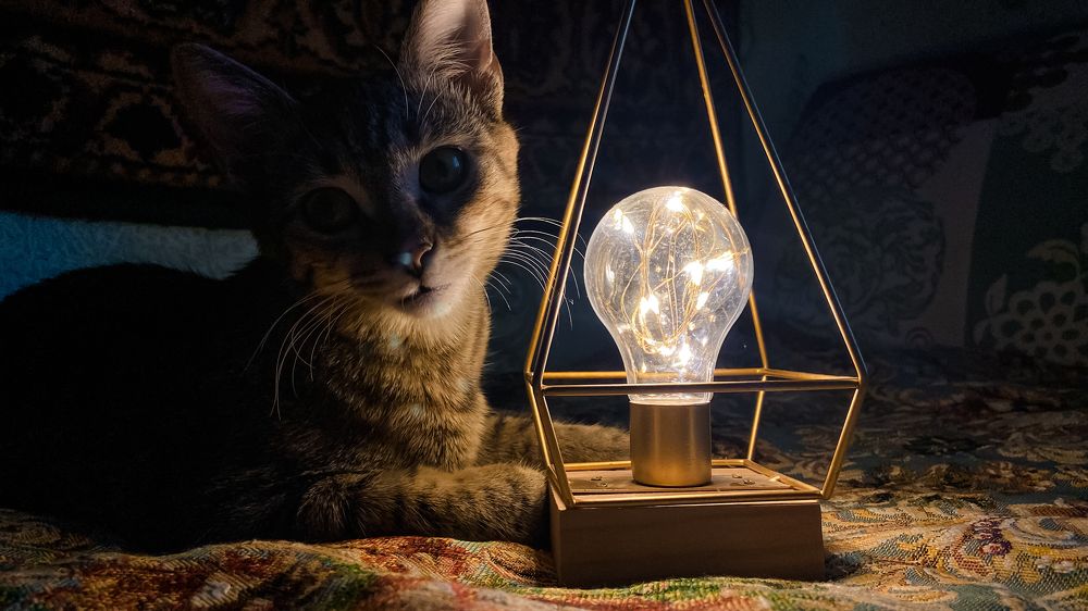 Photograph by Анна Леонова