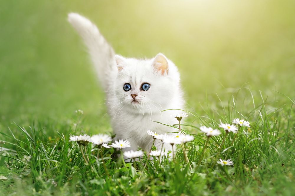 Photograph by Ирина Недикова