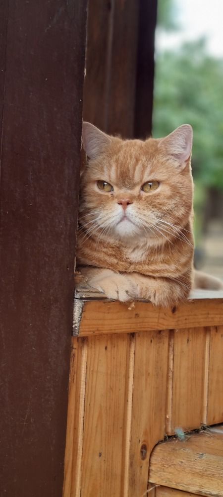 Photograph by Алексей Миронов