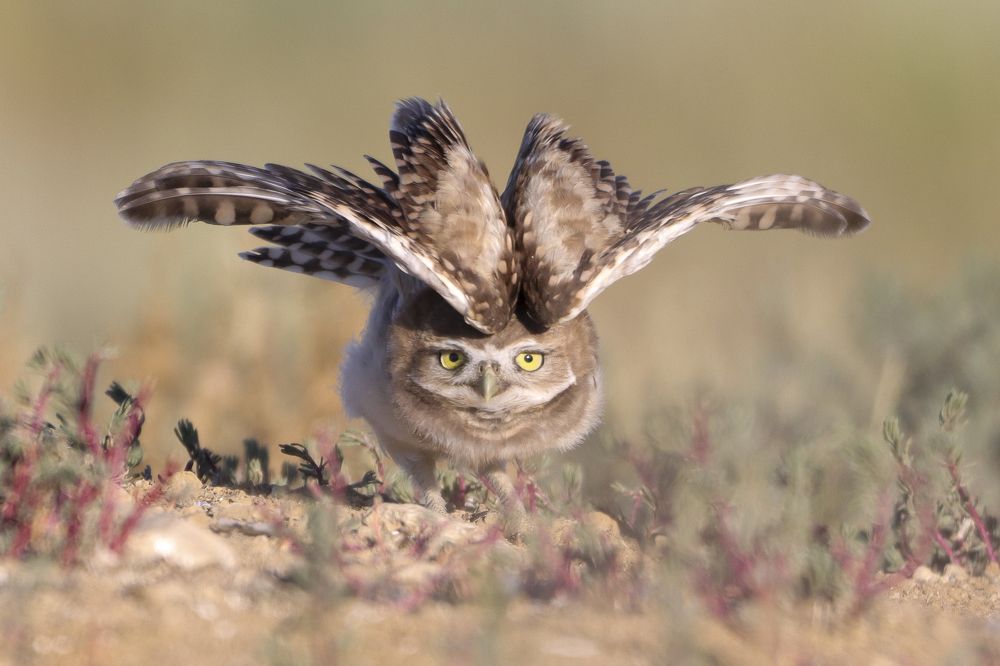 Photograph by Kristy Behnke