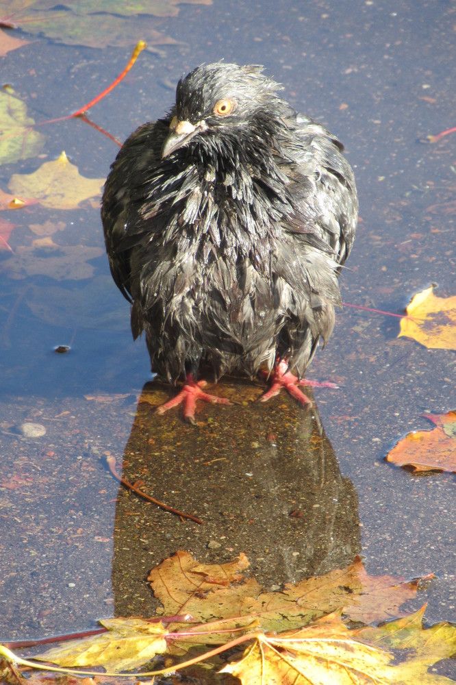 Photograph by Ирина Шведчикова