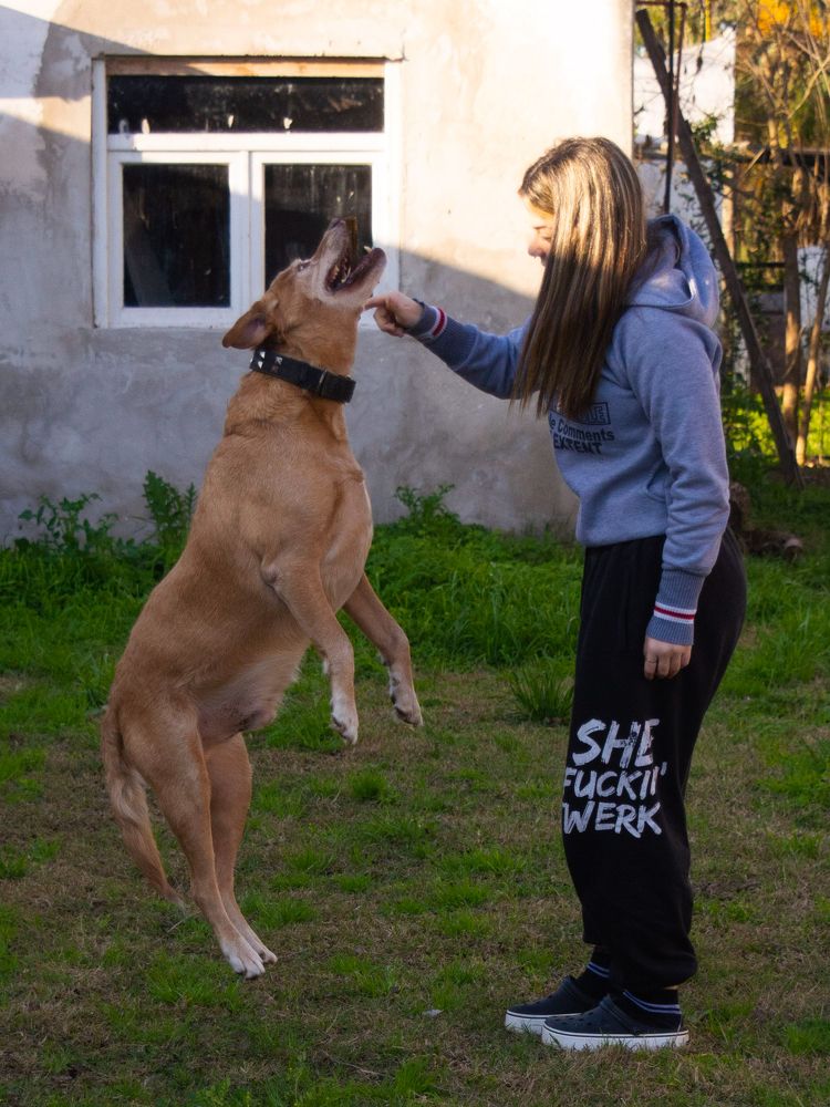 Photograph by Maria julieta