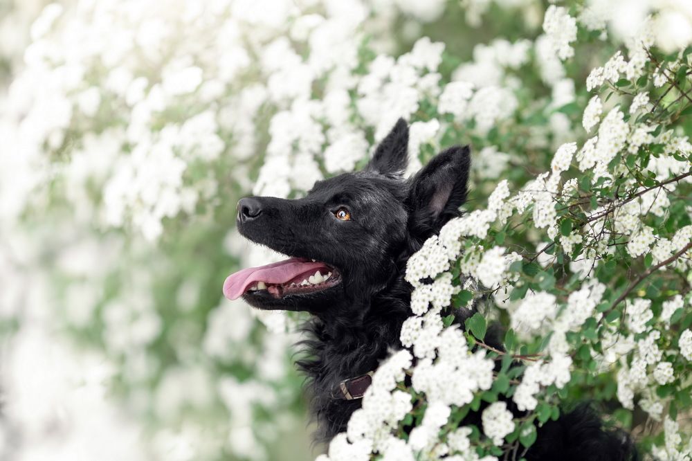 Photograph by Ирина Недикова