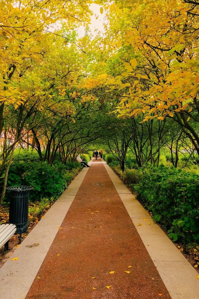 Photograph by Grisha Marvin