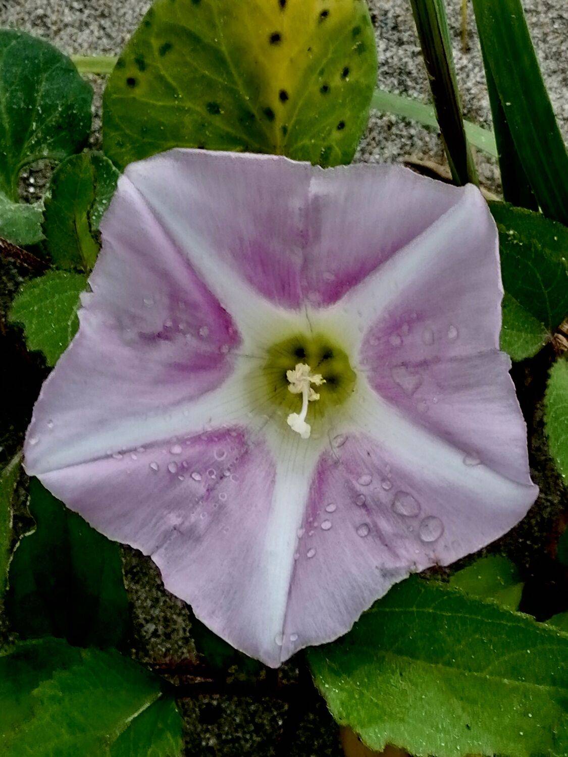 Photo #9709181