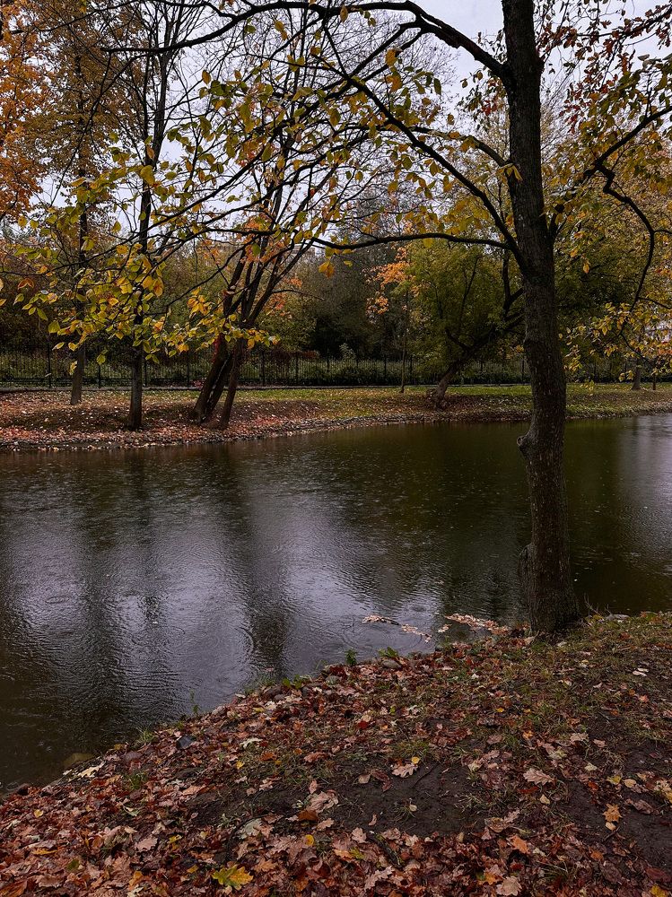 Photograph by Ольга