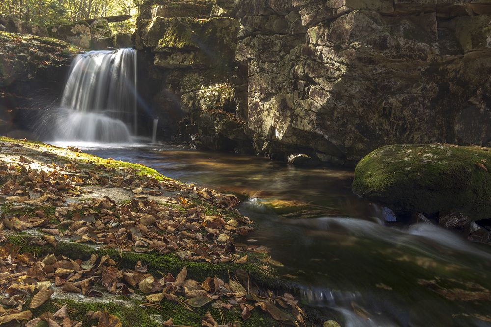 Photograph by ALEKSANDR KUZNETSOV