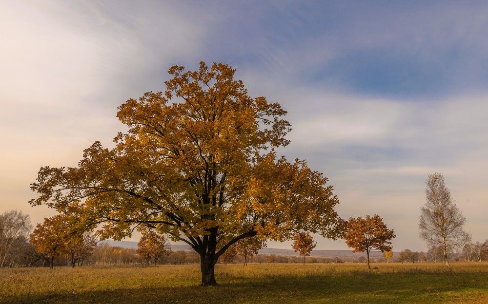 Photograph by константин