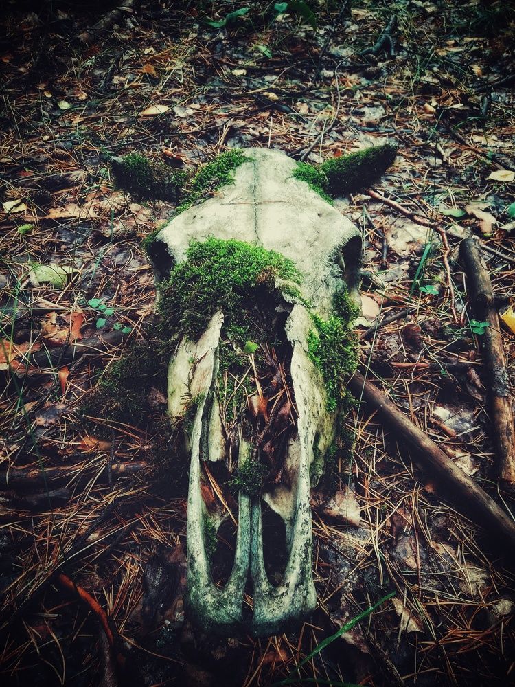 Photograph by Митюшкова Алёна