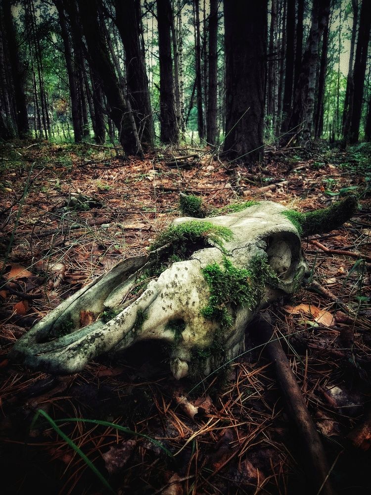 Photograph by Митюшкова Алёна