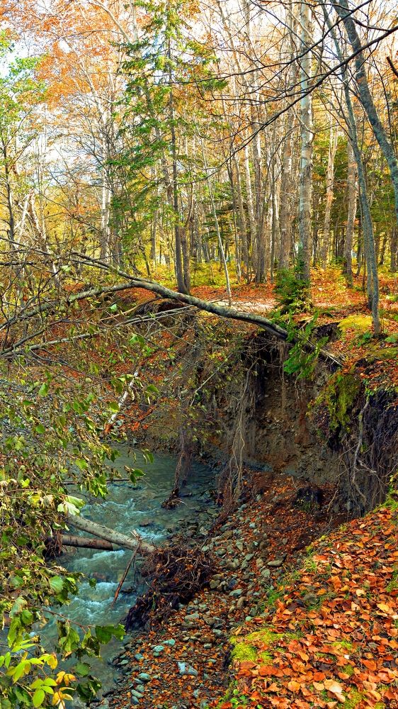 Photograph by roman pushkin