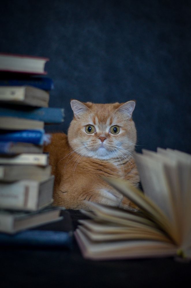 Photograph by Ирина Хламова