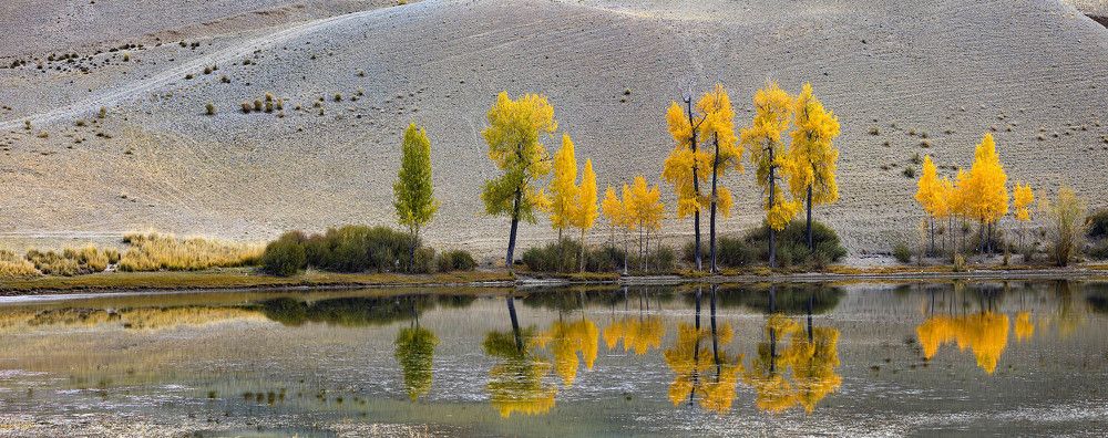 Photograph by Башкатов Олег