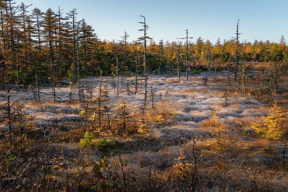 Photograph by Сидоров Антон