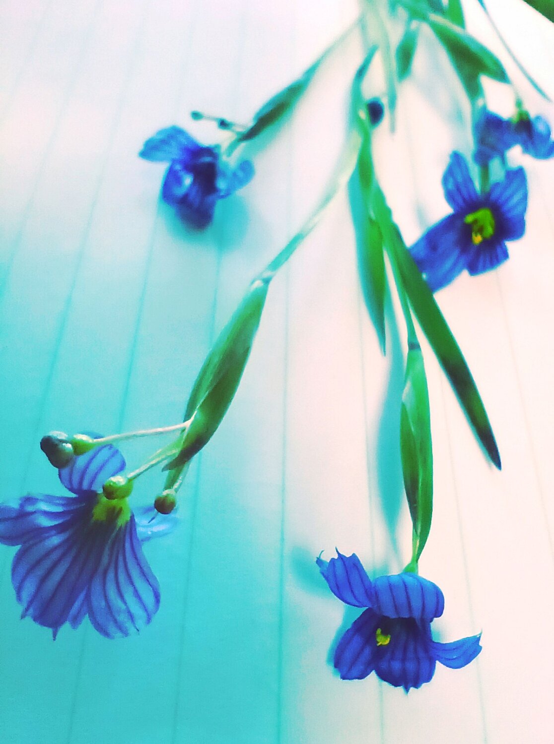Photo #9709425