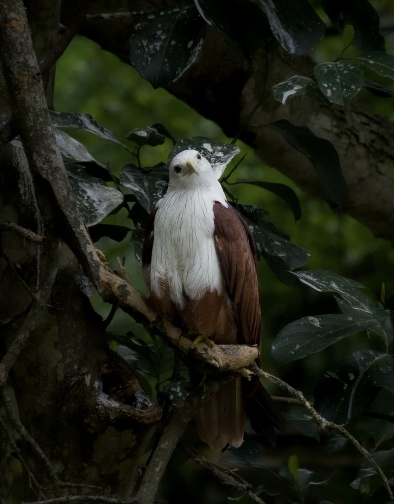 Photograph by sunil agadi
