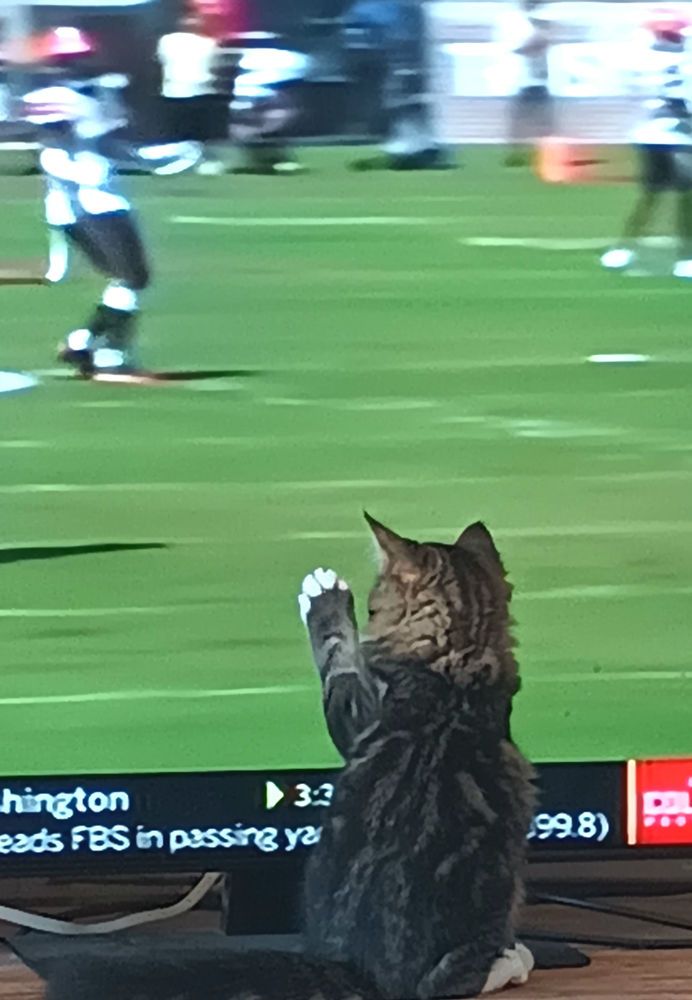 Photograph by Michelle Vaughn